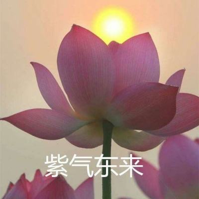 传世三国手游下载